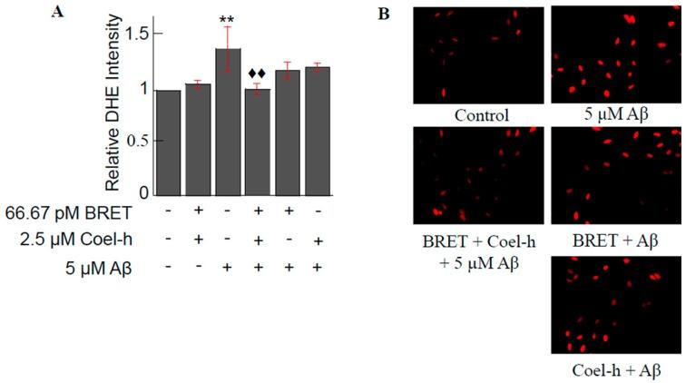 https://cdn.ncbi.nlm.nih.gov/pmc/blobs/7d82/6468577/27295e51f43b/biosensors-09-00042-g008.jpg