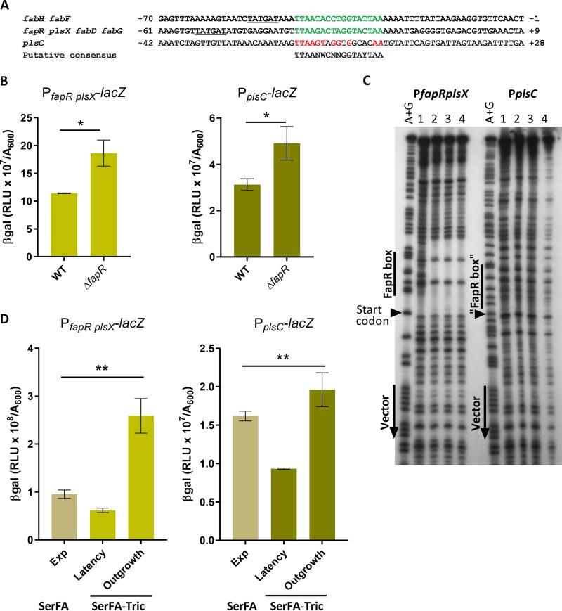 https://cdn.ncbi.nlm.nih.gov/pmc/blobs/7d82/7858065/e767244adf8f/mBio.03193-20-f0005.jpg