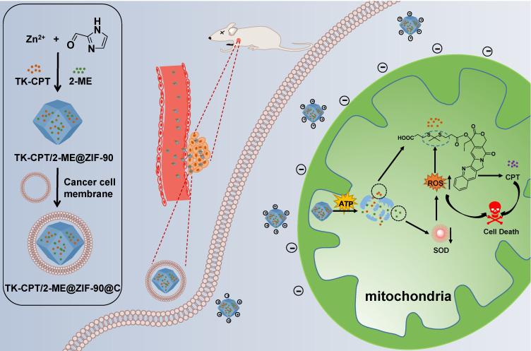 https://cdn.ncbi.nlm.nih.gov/pmc/blobs/7d83/8315074/678317fc9514/thnov11p7869g001.jpg