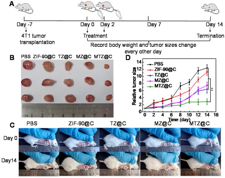 https://cdn.ncbi.nlm.nih.gov/pmc/blobs/7d83/8315074/70ffde944394/thnov11p7869g005.jpg