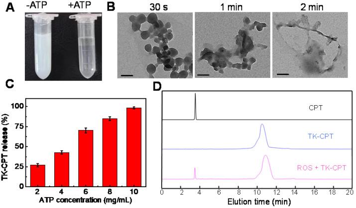 https://cdn.ncbi.nlm.nih.gov/pmc/blobs/7d83/8315074/a8123d394728/thnov11p7869g003.jpg