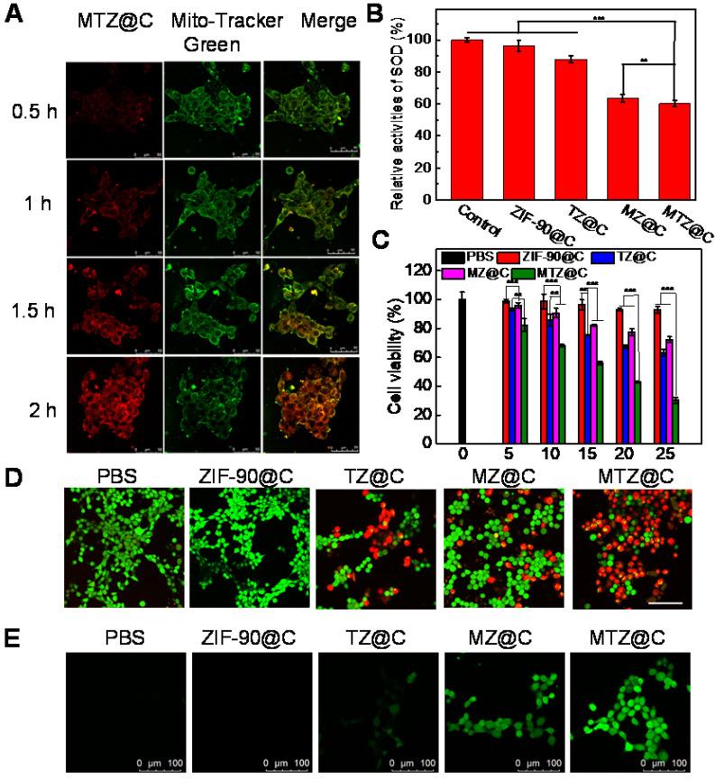 https://cdn.ncbi.nlm.nih.gov/pmc/blobs/7d83/8315074/a9a298e9d82e/thnov11p7869g004.jpg
