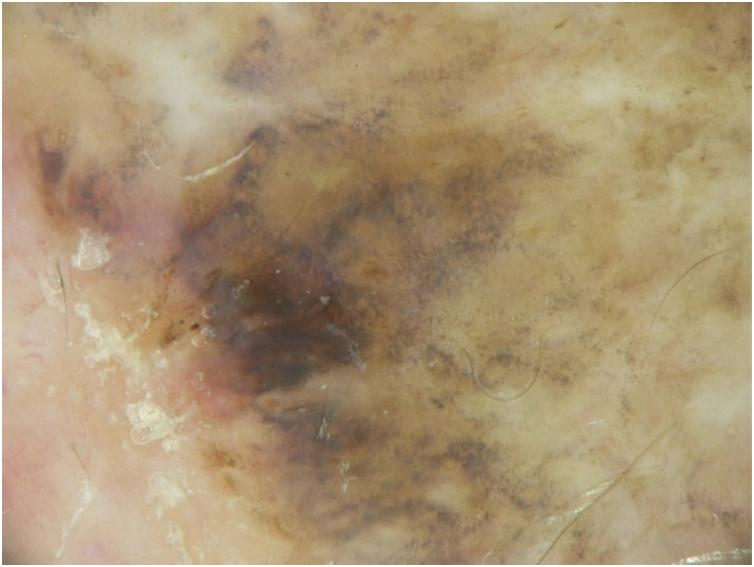 https://cdn.ncbi.nlm.nih.gov/pmc/blobs/7d83/8441514/34aadea2a757/gr2.jpg