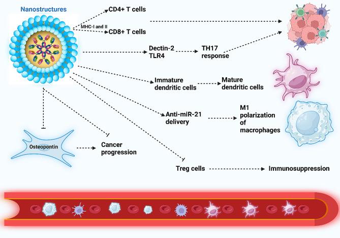 https://cdn.ncbi.nlm.nih.gov/pmc/blobs/7d86/10986145/60b0198b4102/13045_2024_1535_Fig4_HTML.jpg