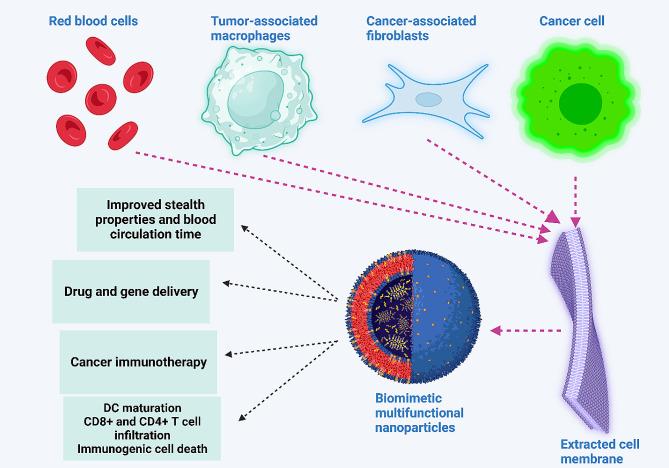 https://cdn.ncbi.nlm.nih.gov/pmc/blobs/7d86/10986145/bebf9b1cb369/13045_2024_1535_Fig5_HTML.jpg