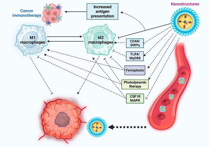 https://cdn.ncbi.nlm.nih.gov/pmc/blobs/7d86/10986145/c50b22b9abd2/13045_2024_1535_Fig3_HTML.jpg
