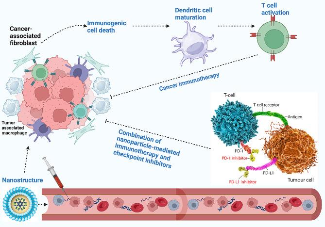 https://cdn.ncbi.nlm.nih.gov/pmc/blobs/7d86/10986145/de2f5402a039/13045_2024_1535_Fig1_HTML.jpg