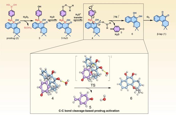 https://cdn.ncbi.nlm.nih.gov/pmc/blobs/7d88/11266395/6e07c8e28354/41598_2024_67897_Fig2_HTML.jpg