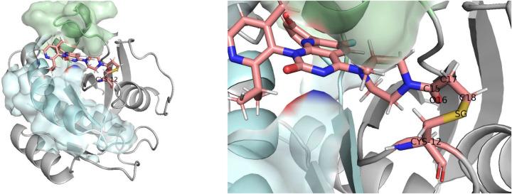 https://cdn.ncbi.nlm.nih.gov/pmc/blobs/7d88/11266395/e887a52903ea/41598_2024_67897_Fig4_HTML.jpg