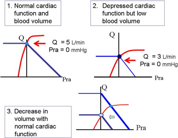 https://cdn.ncbi.nlm.nih.gov/pmc/blobs/7d8b/3682240/5aced5ded8cb/cc11395-2.jpg