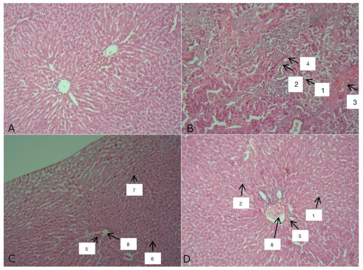 https://cdn.ncbi.nlm.nih.gov/pmc/blobs/7d8f/12189556/1fdb5879c4e1/biomedicines-13-01276-g008.jpg