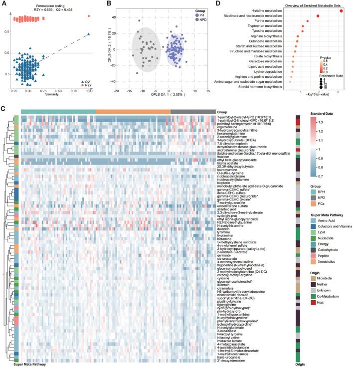 https://cdn.ncbi.nlm.nih.gov/pmc/blobs/7d91/12238017/8d49eddc00ac/fonc-15-1604169-g002.jpg
