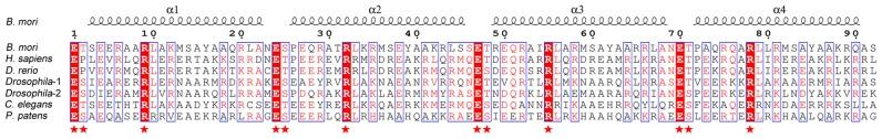 https://cdn.ncbi.nlm.nih.gov/pmc/blobs/7d95/4856987/401f7c8e9c33/gkw133fig5.jpg