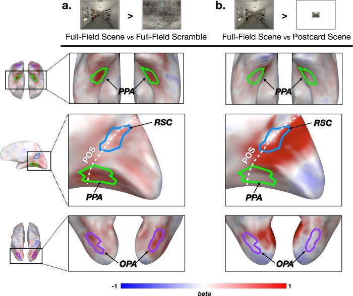 https://cdn.ncbi.nlm.nih.gov/pmc/blobs/7d96/11213904/14d1935c0857/41467_2024_49669_Fig4_HTML.jpg