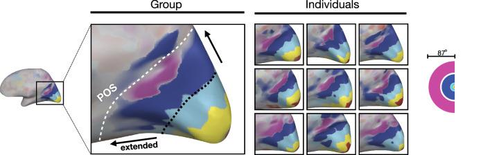 https://cdn.ncbi.nlm.nih.gov/pmc/blobs/7d96/11213904/bd1fa7dd5297/41467_2024_49669_Fig3_HTML.jpg