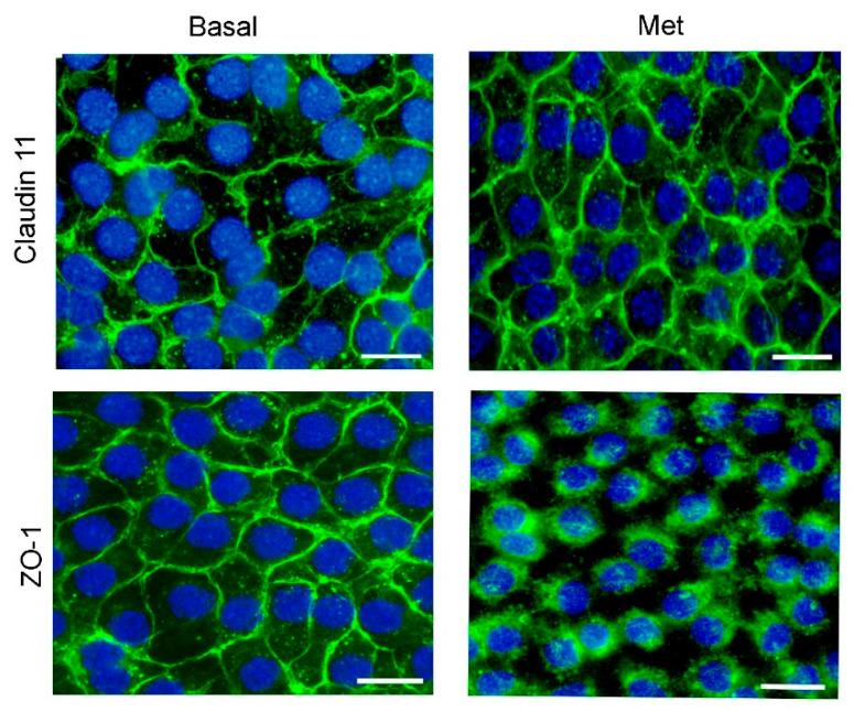 https://cdn.ncbi.nlm.nih.gov/pmc/blobs/7d97/11117697/7368c344779c/biology-13-00330-g004.jpg