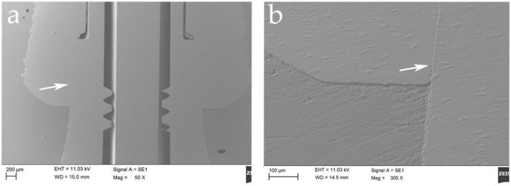 https://cdn.ncbi.nlm.nih.gov/pmc/blobs/7d97/8004755/eab407b35cc5/materials-14-01555-g005.jpg