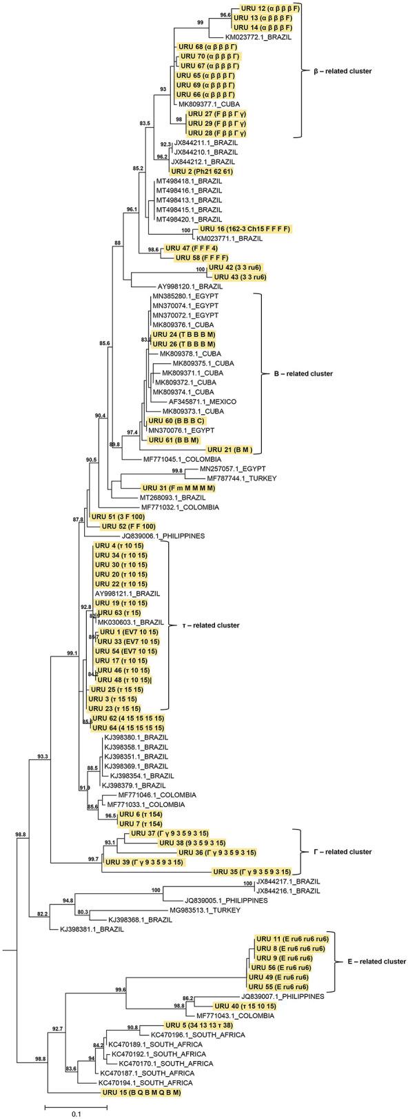 https://cdn.ncbi.nlm.nih.gov/pmc/blobs/7d99/9531168/3b41f1d622d4/fvets-09-990228-g0002.jpg
