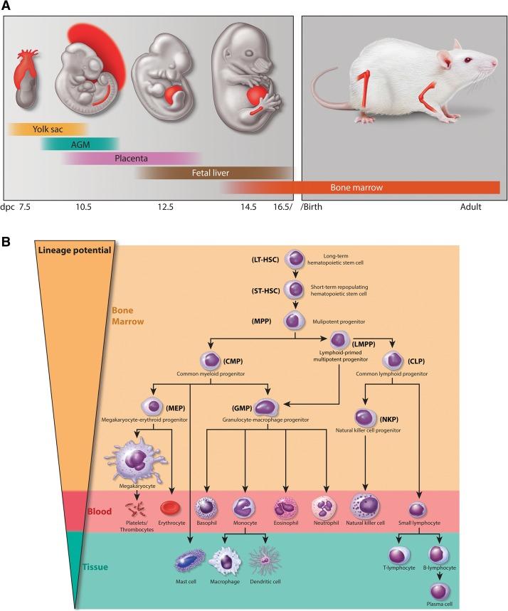 https://cdn.ncbi.nlm.nih.gov/pmc/blobs/7d9a/5066610/4586f139136f/2021f01.jpg