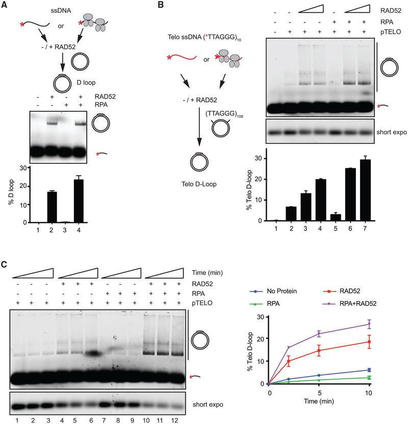 https://cdn.ncbi.nlm.nih.gov/pmc/blobs/7d9e/6366628/2701f7b5c8a8/nihms-1519376-f0006.jpg