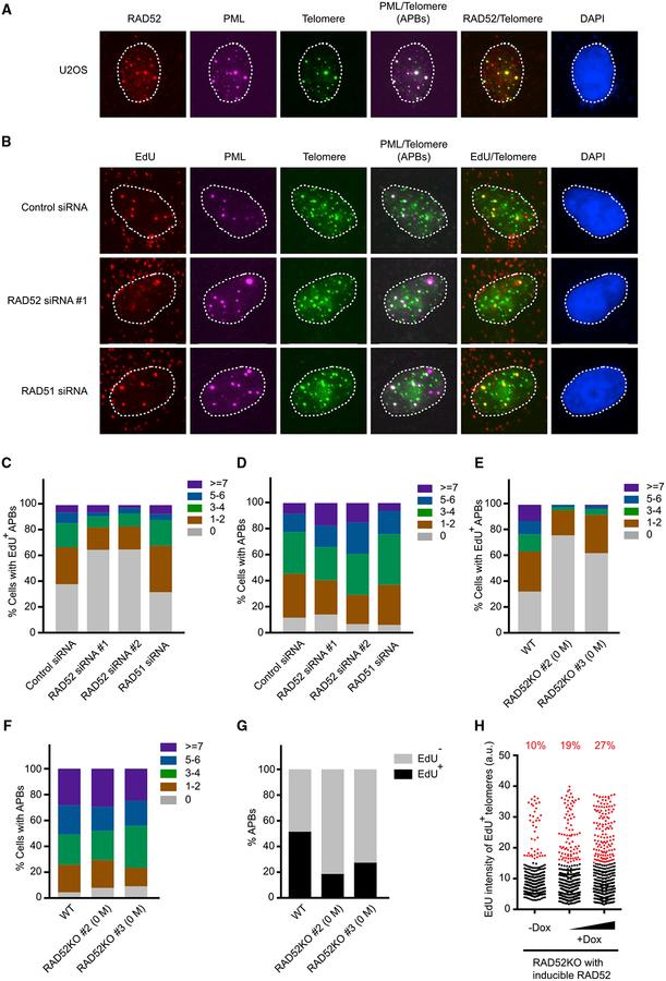 https://cdn.ncbi.nlm.nih.gov/pmc/blobs/7d9e/6366628/5b6b7c141eb1/nihms-1519376-f0003.jpg