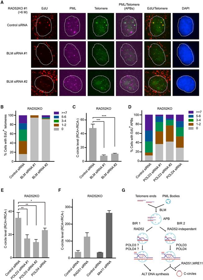 https://cdn.ncbi.nlm.nih.gov/pmc/blobs/7d9e/6366628/690f6d0d09b4/nihms-1519376-f0008.jpg