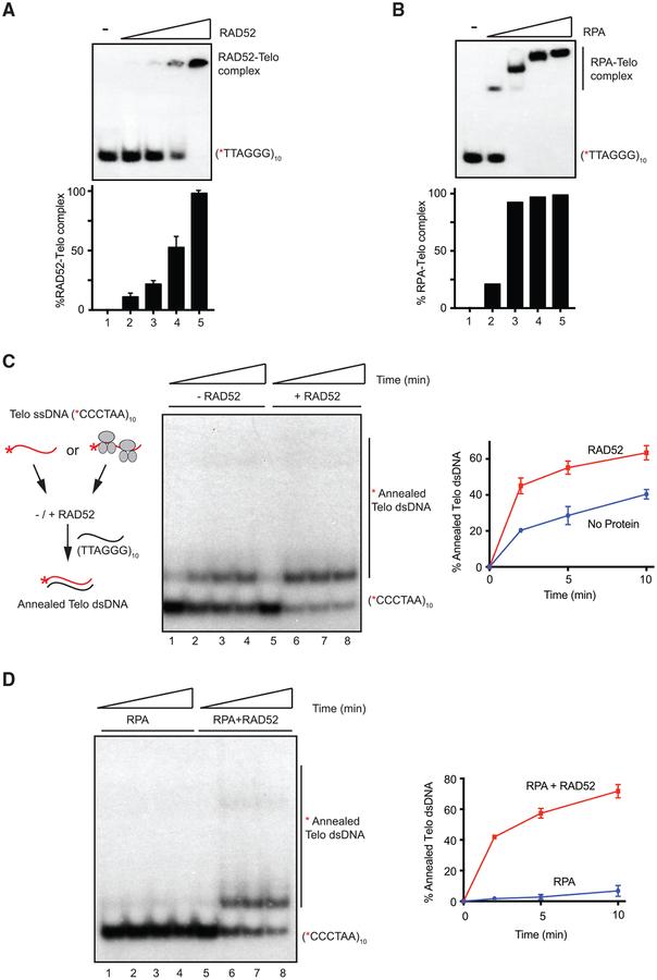 https://cdn.ncbi.nlm.nih.gov/pmc/blobs/7d9e/6366628/ad5902f822de/nihms-1519376-f0005.jpg