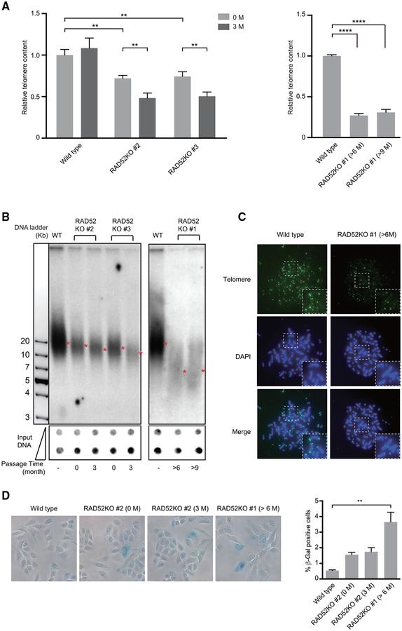 https://cdn.ncbi.nlm.nih.gov/pmc/blobs/7d9e/6366628/d4c0cb00db8f/nihms-1519376-f0004.jpg