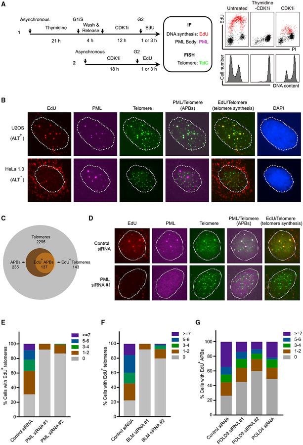 https://cdn.ncbi.nlm.nih.gov/pmc/blobs/7d9e/6366628/d7c83839d6e8/nihms-1519376-f0002.jpg