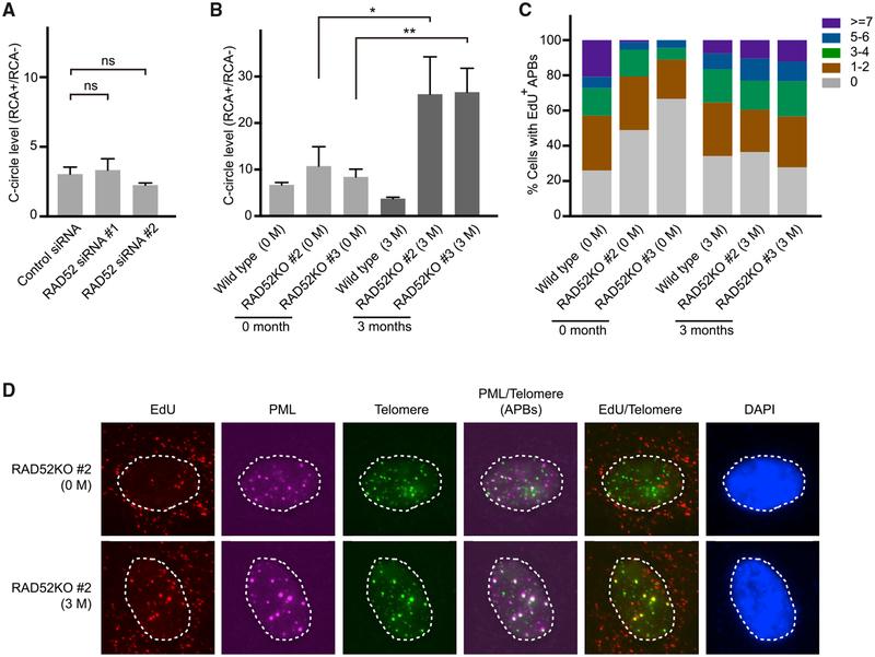 https://cdn.ncbi.nlm.nih.gov/pmc/blobs/7d9e/6366628/edab75c1a452/nihms-1519376-f0007.jpg