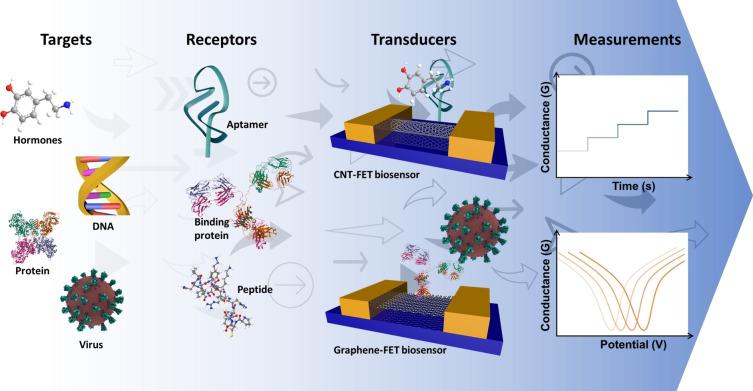 https://cdn.ncbi.nlm.nih.gov/pmc/blobs/7d9f/10092808/0e6d7de59864/CBIC-23-0-g008.jpg