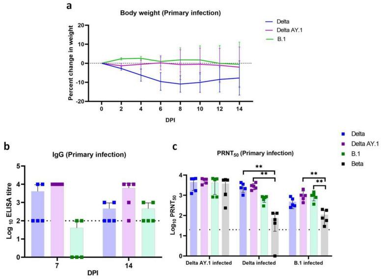 https://cdn.ncbi.nlm.nih.gov/pmc/blobs/7d9f/8950956/d11c73b3aa80/viruses-14-00596-g002.jpg