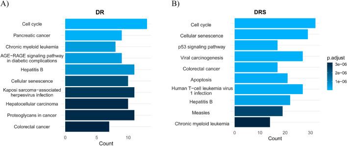 https://cdn.ncbi.nlm.nih.gov/pmc/blobs/7da0/12310685/91ab1477c343/fphar-16-1614758-g004.jpg