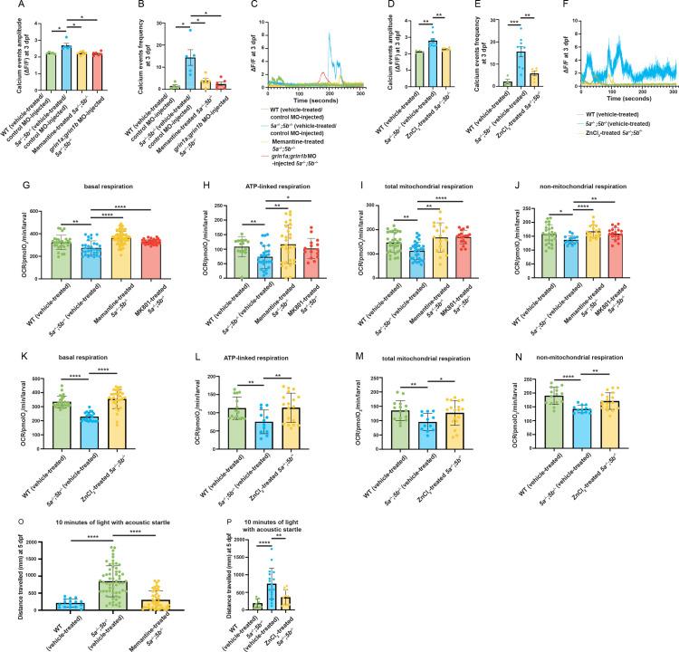 https://cdn.ncbi.nlm.nih.gov/pmc/blobs/7da8/12047791/9d45c823febe/pbio.3002499.g007.jpg