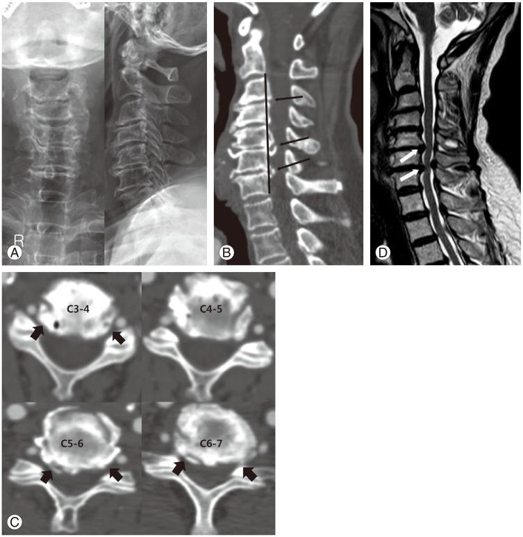 https://cdn.ncbi.nlm.nih.gov/pmc/blobs/7daa/4995248/55dbaf7b103b/asj-10-663-g001.jpg