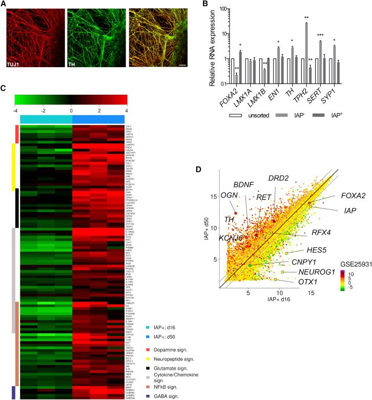 https://cdn.ncbi.nlm.nih.gov/pmc/blobs/7dac/5639383/53f5f5d11d54/gr4.jpg