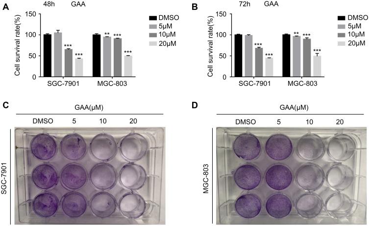 https://cdn.ncbi.nlm.nih.gov/pmc/blobs/7dac/7489940/3ad77bccc4ad/DDDT-14-3615-g0006.jpg