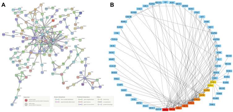 https://cdn.ncbi.nlm.nih.gov/pmc/blobs/7dac/7489940/495963d4c9a3/DDDT-14-3615-g0002.jpg