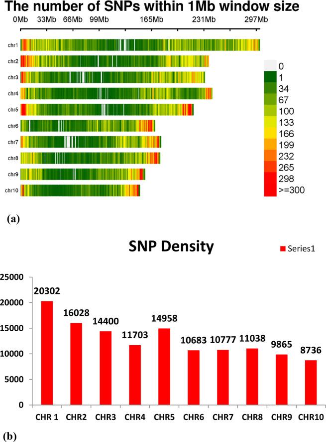 https://cdn.ncbi.nlm.nih.gov/pmc/blobs/7dad/11299311/ad61da257a48/12864_2024_10655_Fig1_HTML.jpg