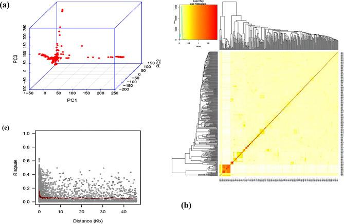https://cdn.ncbi.nlm.nih.gov/pmc/blobs/7dad/11299311/bda986fe78e4/12864_2024_10655_Fig3_HTML.jpg
