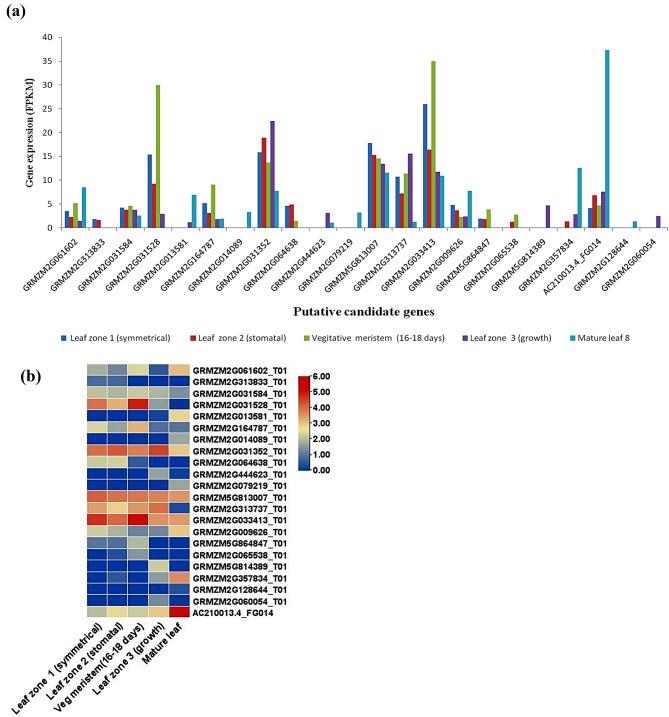 https://cdn.ncbi.nlm.nih.gov/pmc/blobs/7dad/11299311/db04c68ac458/12864_2024_10655_Fig6_HTML.jpg