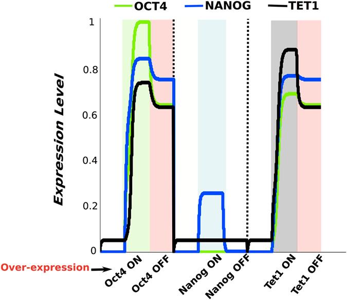 https://cdn.ncbi.nlm.nih.gov/pmc/blobs/7dad/4857071/2cee349d484e/srep25438-f2.jpg