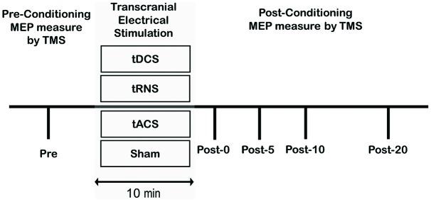 https://cdn.ncbi.nlm.nih.gov/pmc/blobs/7dad/5186778/1718bae54375/fnhum-10-00668-g0001.jpg