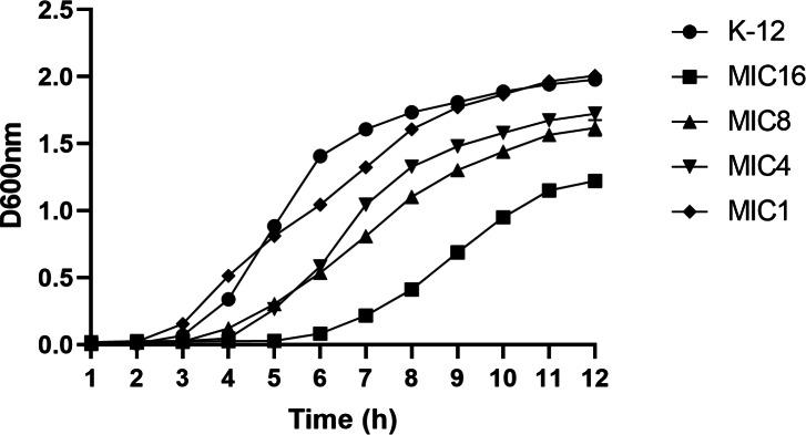 https://cdn.ncbi.nlm.nih.gov/pmc/blobs/7dae/11610472/592e60e4d46f/peerj-12-18572-g003.jpg
