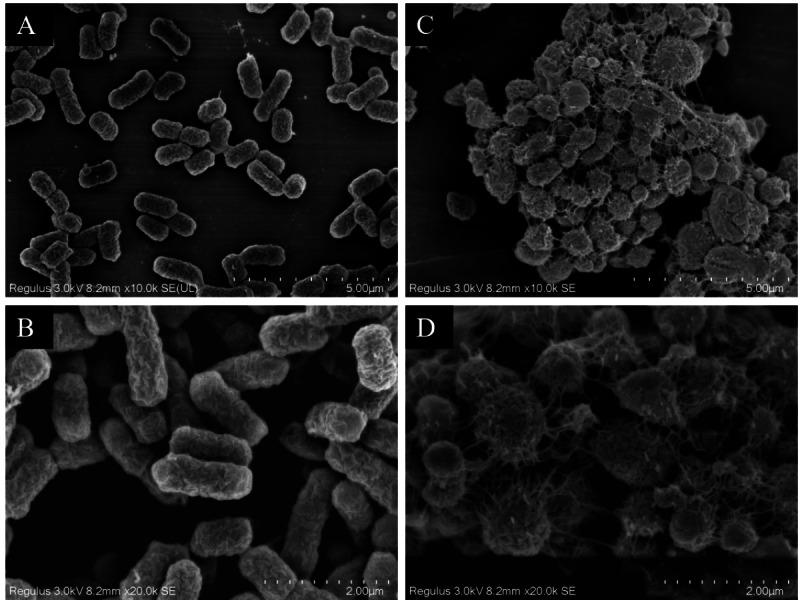 https://cdn.ncbi.nlm.nih.gov/pmc/blobs/7dae/11610472/5e0cea7ea1ac/peerj-12-18572-g007.jpg