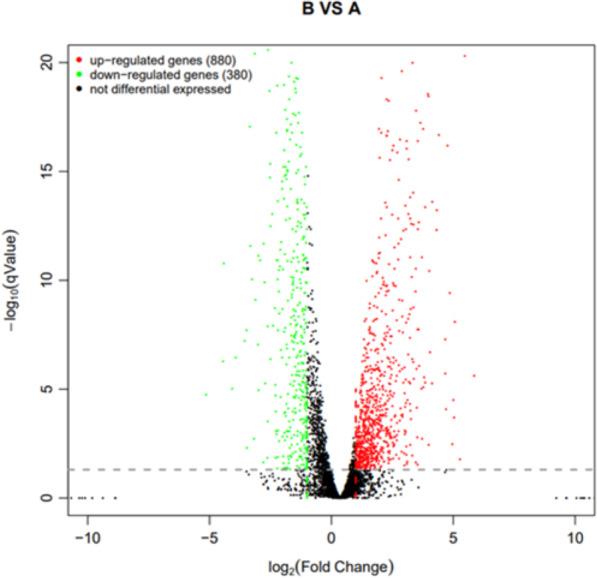 https://cdn.ncbi.nlm.nih.gov/pmc/blobs/7dae/11610472/b14b5618db58/peerj-12-18572-g010.jpg