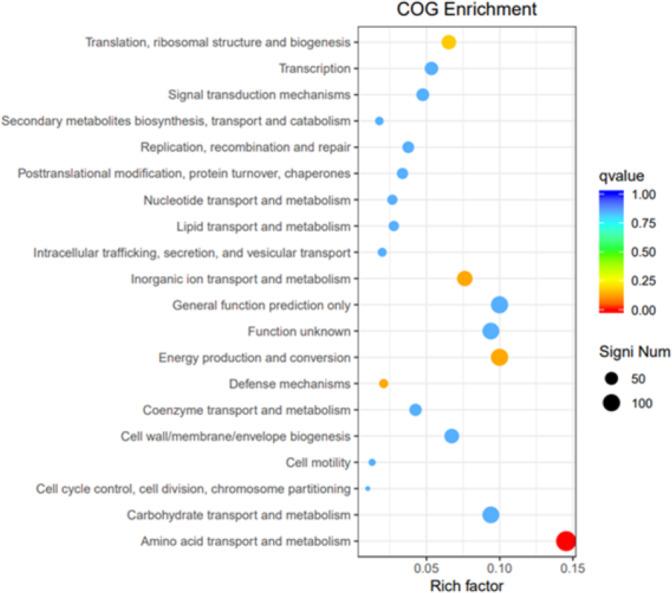 https://cdn.ncbi.nlm.nih.gov/pmc/blobs/7dae/11610472/e2efdfe07350/peerj-12-18572-g012.jpg