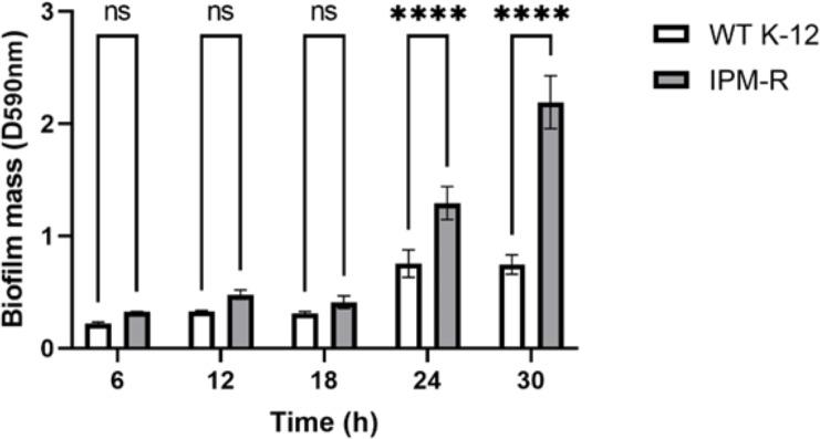 https://cdn.ncbi.nlm.nih.gov/pmc/blobs/7dae/11610472/e75535e4098d/peerj-12-18572-g006.jpg