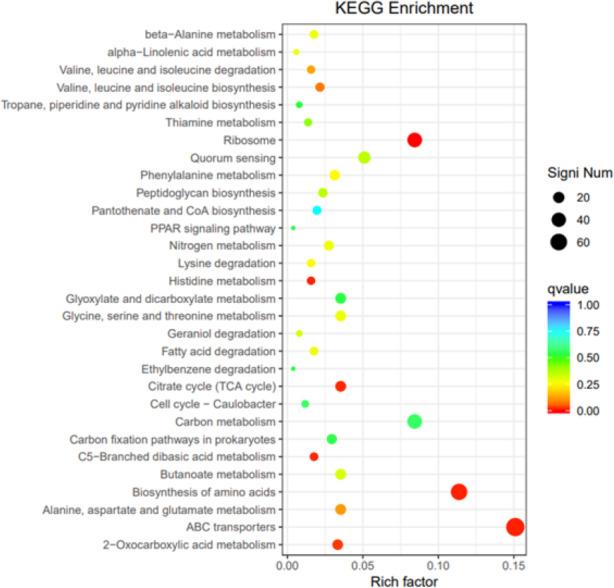 https://cdn.ncbi.nlm.nih.gov/pmc/blobs/7dae/11610472/f051d5ac3889/peerj-12-18572-g013.jpg