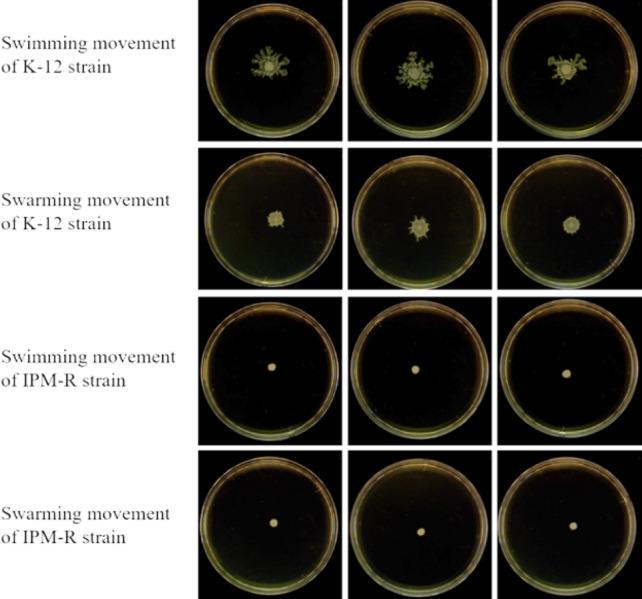 https://cdn.ncbi.nlm.nih.gov/pmc/blobs/7dae/11610472/f06af167d715/peerj-12-18572-g004.jpg
